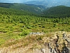 2012-08-09_13-20-24.jpg / 100x75 2012-08-09_13-20-24.jpg / 100x75