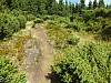 2012-08-09_14-02-02.jpg / 100x75 2012-08-09_14-02-02.jpg / 100x75