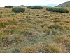 2012-08-11_15-45-22.jpg / 100x75 2012-08-11_15-45-22.jpg / 100x75
