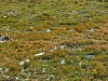 2012-08-11_16-55-46.jpg / 100x75 2012-08-11_16-55-46.jpg / 100x75