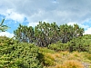 2012-08-11_17-25-24.jpg / 100x75 2012-08-11_17-25-24.jpg / 100x75