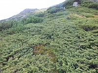 2012-08-11_15-03-36.jpg / 200x150