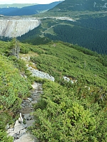 2012-08-11_17-29-42.jpg / 150x200