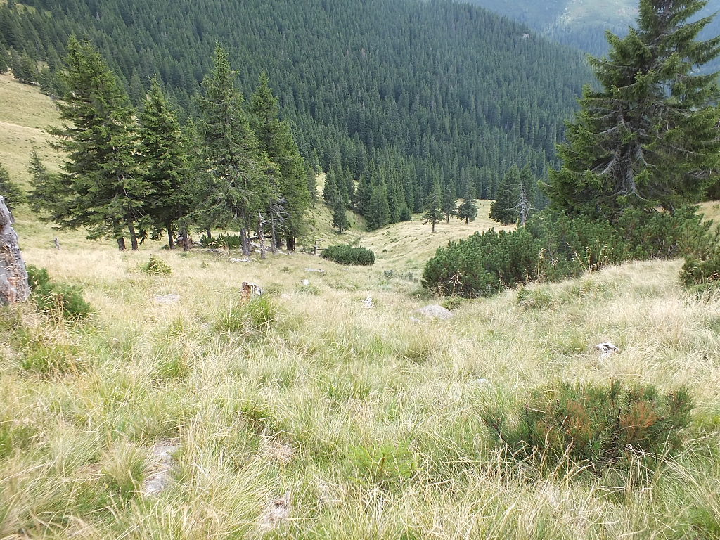 Munții Călimani
Rumänien 2012
&copy; by Thiel-IT (2012)