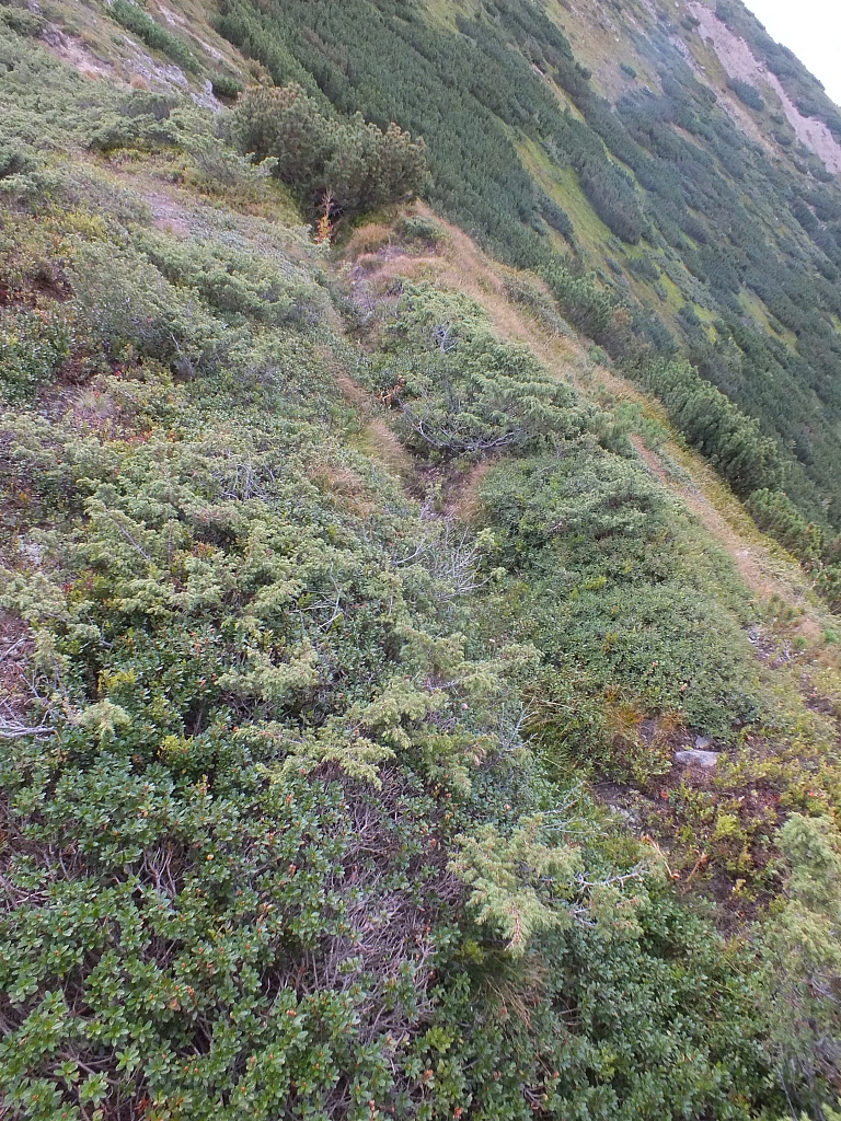 Munții Călimani
Rumänien 2012
&copy; by Thiel-IT (2012)