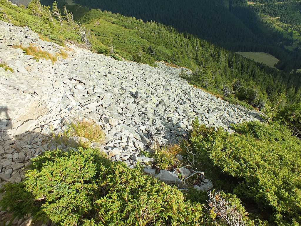 Munții Călimani
Rumänien 2012
&copy; by Thiel-IT (2012)