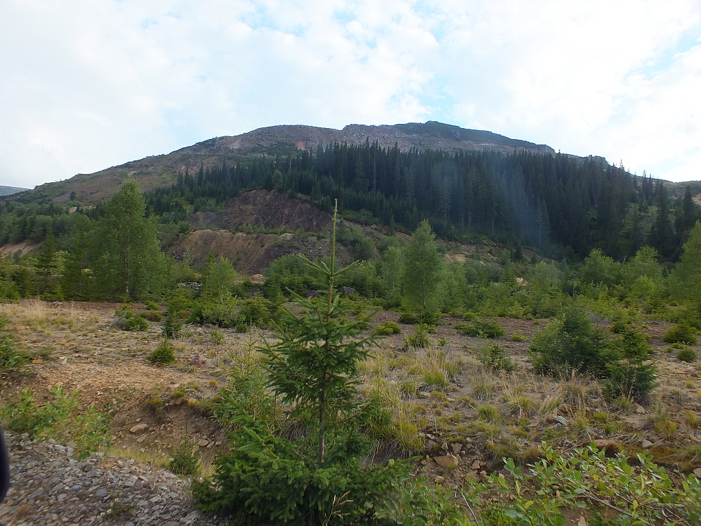 Munții Călimani
Rumänien 2012
&copy; by Thiel-IT (2012)