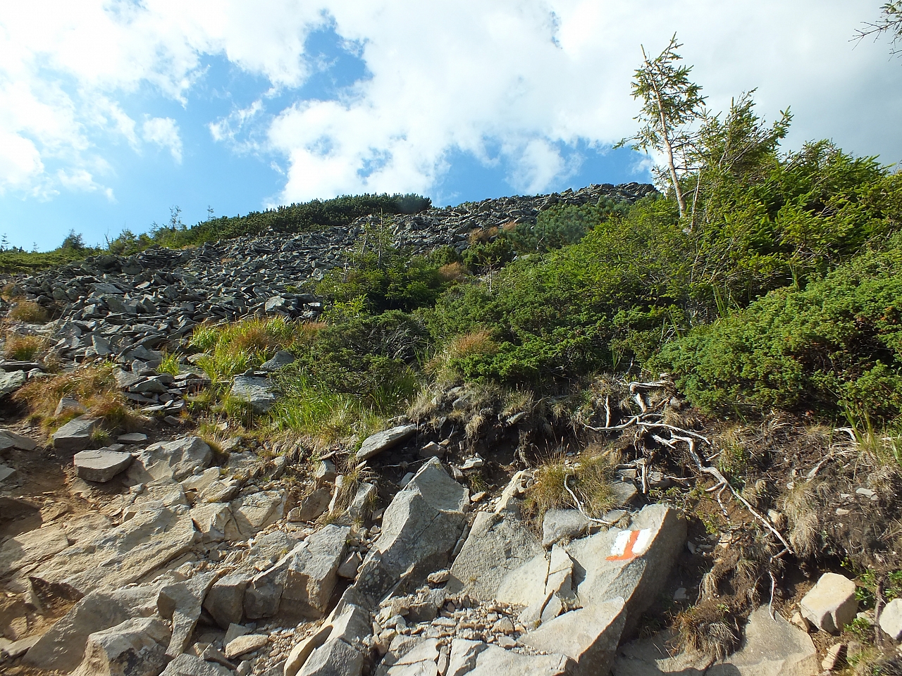 Munții Călimani
Rumänien 2012
&copy; by Thiel-IT (2012)