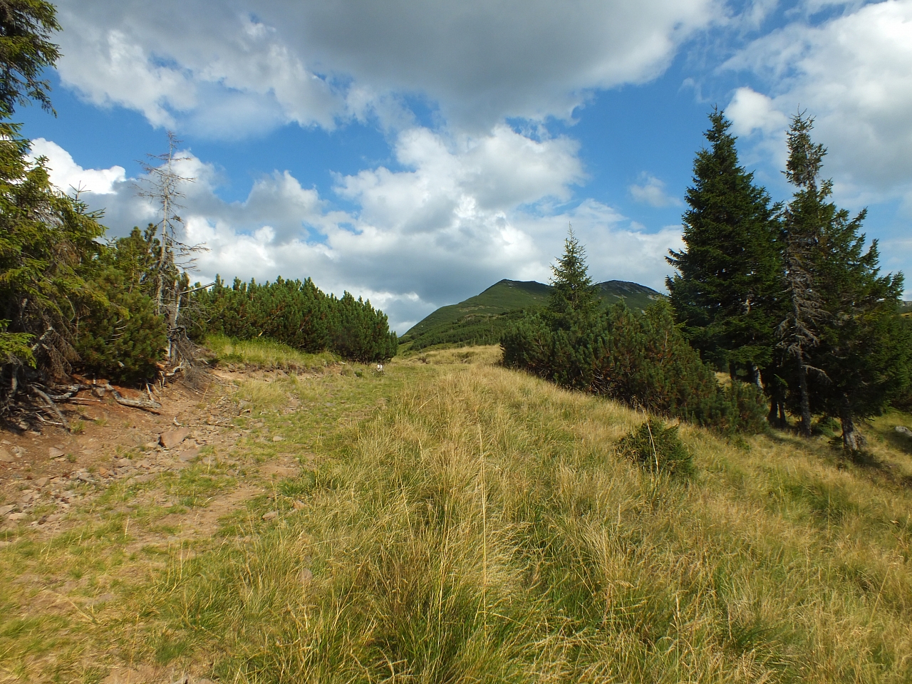 Munții Călimani
Rumänien 2012
&copy; by Thiel-IT (2012)